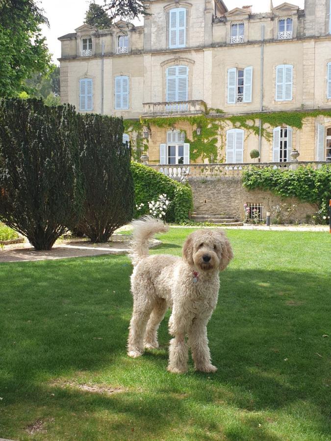 Chateau De Varenne Sauveterre  Bagian luar foto